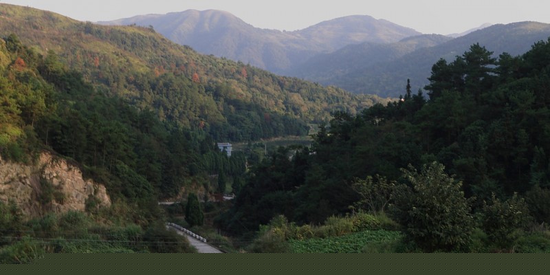 郑家岭IMG_3753.JPG
