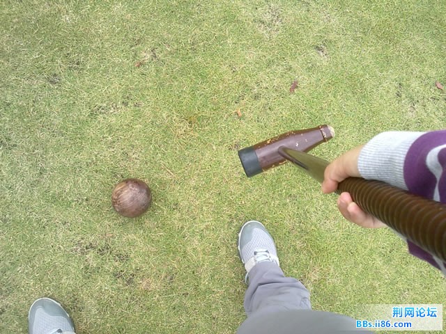 20111020933.jpg