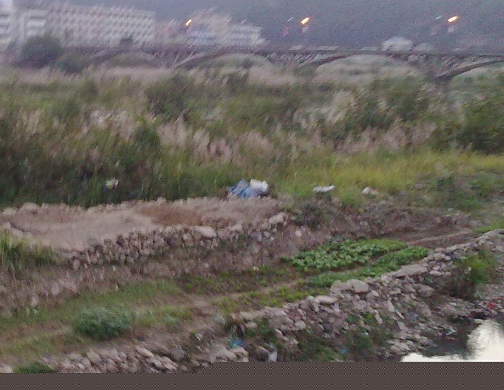 20111028152710.jpg