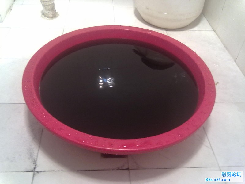 20111112097.jpg
