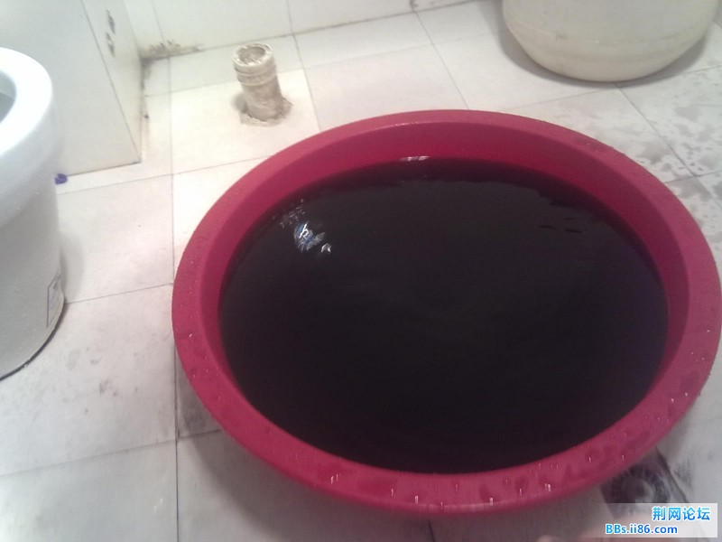 20111112094.jpg