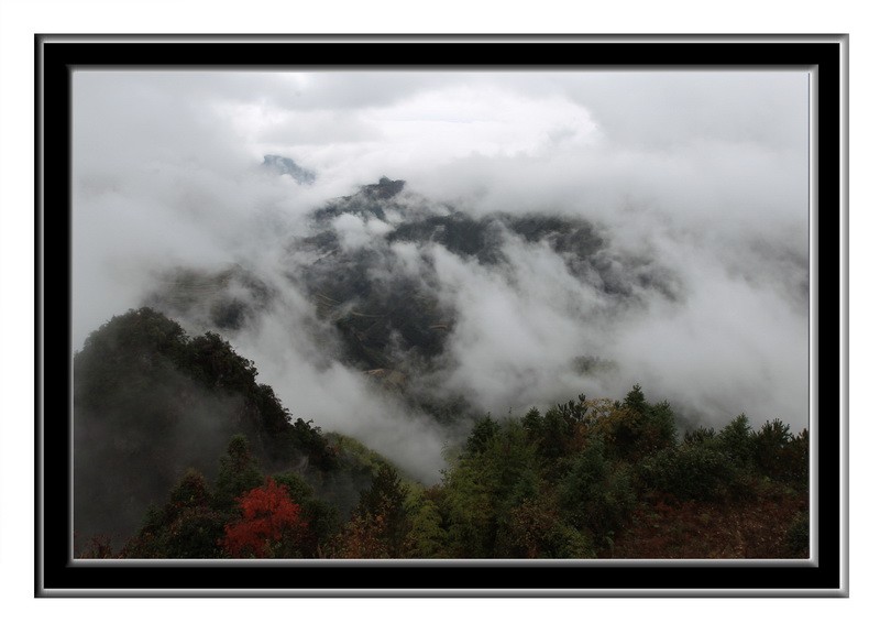 一点红IMG_5045.JPG