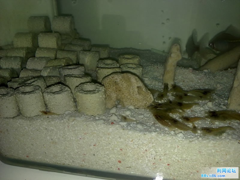 20111117149.jpg