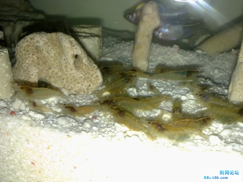 20111117153.jpg