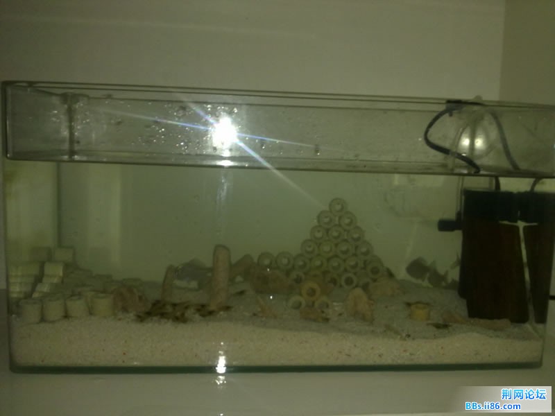 20111117155.jpg