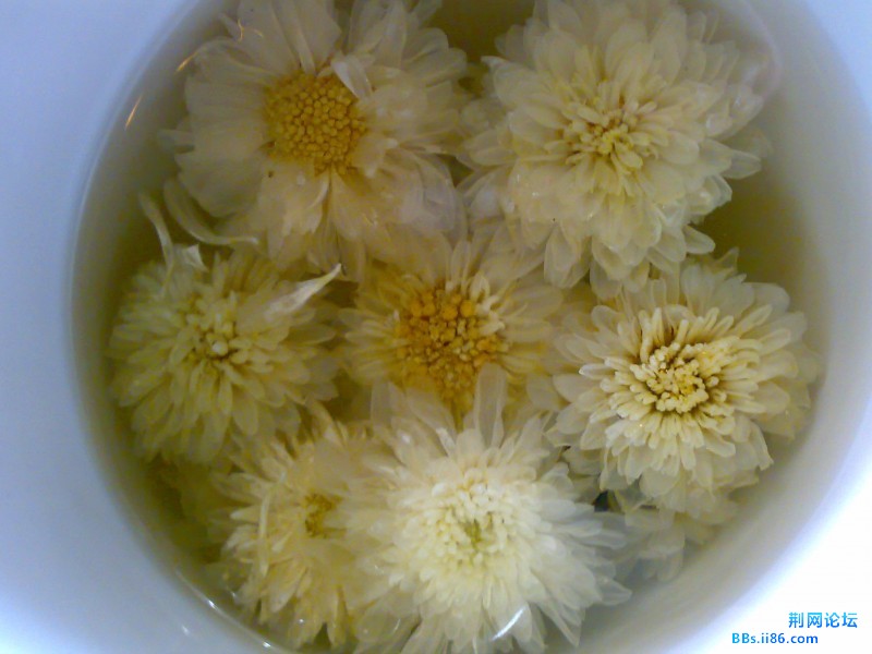 20111129030.jpg