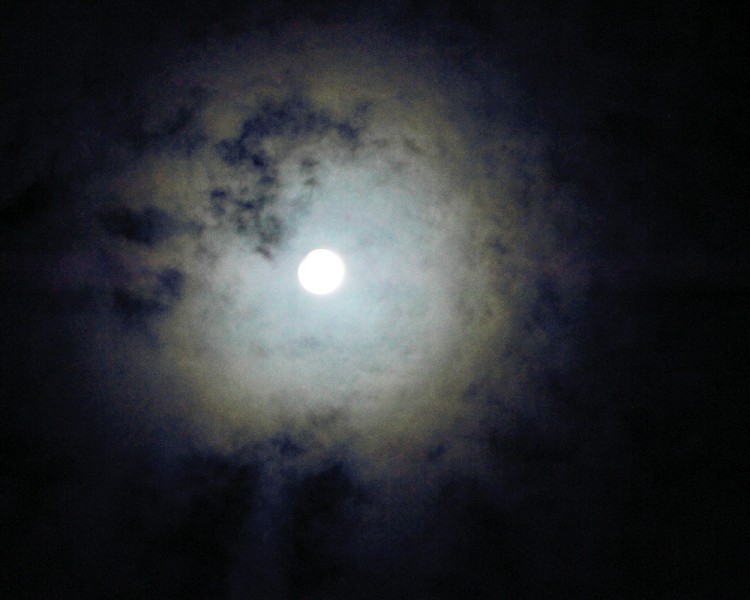 IMG_6867.JPG