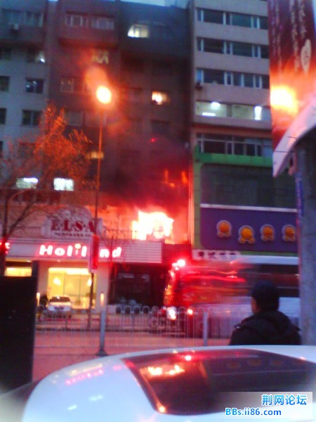 IMG0958A.jpg