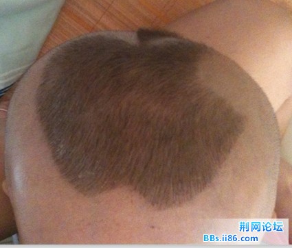 发型