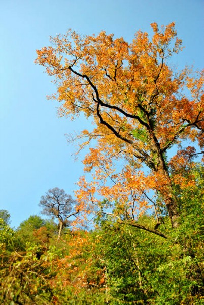 nEO_IMG_DSC_1936.jpg