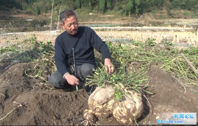 QQ截图20111217214727.jpg
