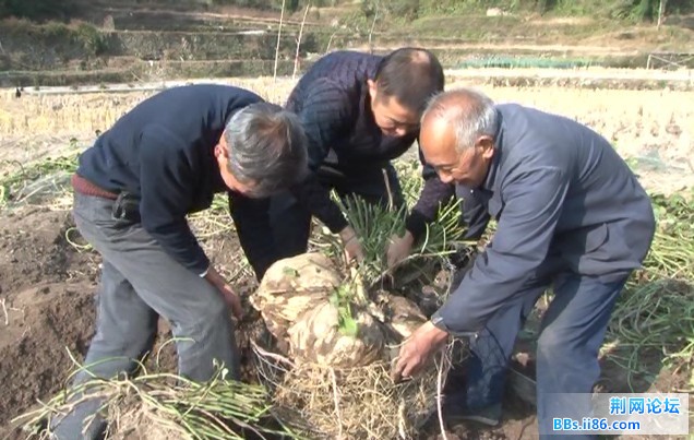 QQ截图20111217214751.jpg