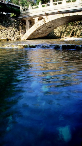 DSC08984.JPG