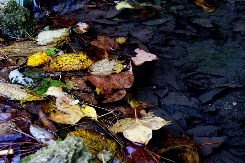DSC09026.JPG