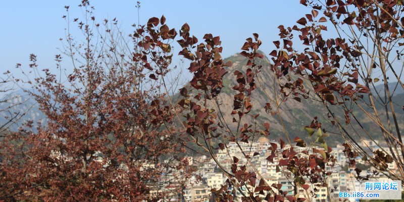 DPP_0006.JPG
