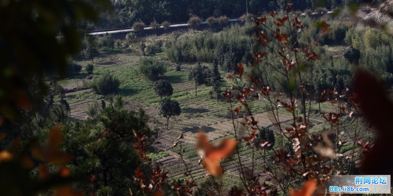 DPP_0021.JPG