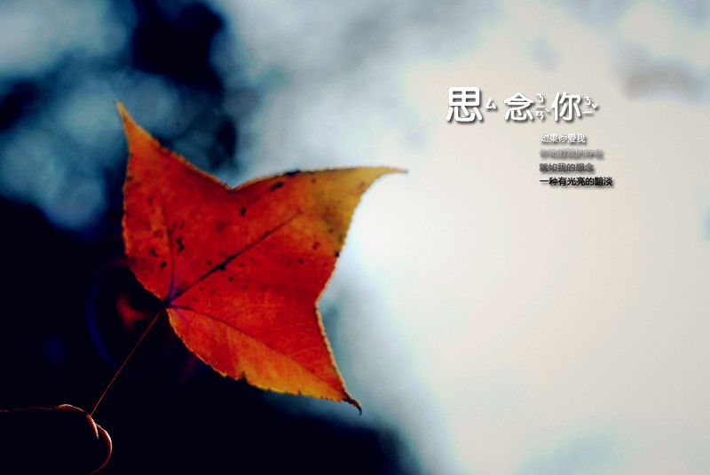 DSC_3781_副本.jpg