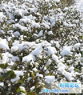 20120104181149.jpg