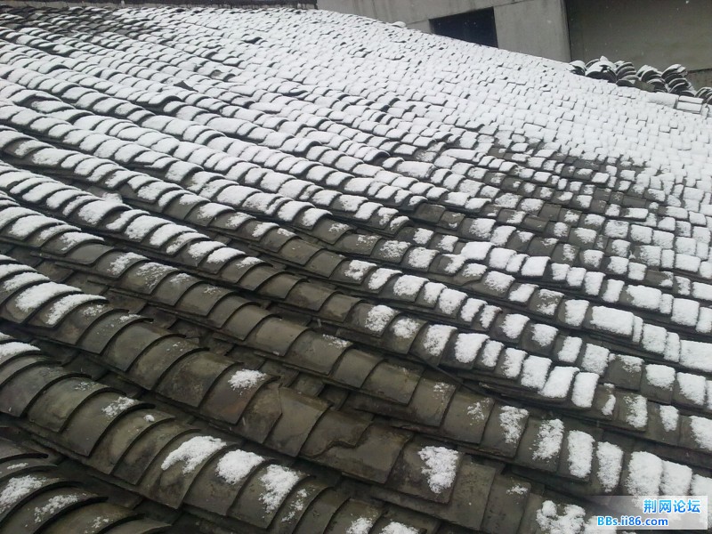 20120105300.jpg