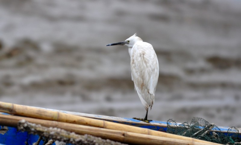DSC_6396.jpg