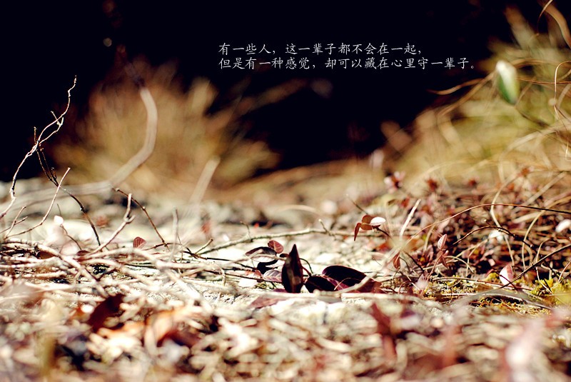 DSC_5461_副本.jpg