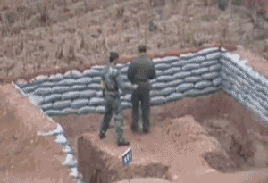 6.gif