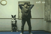 3.gif