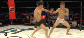 9.gif
