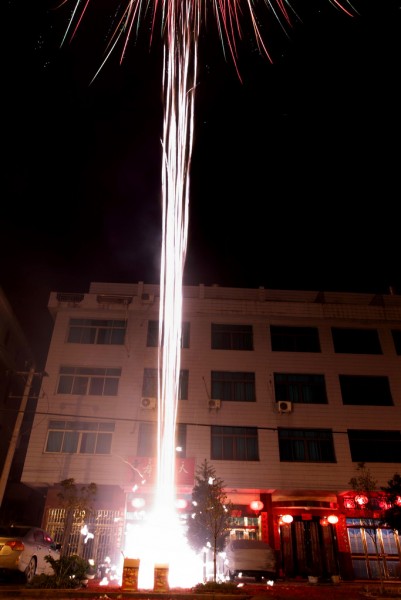 1BI0E8206.JPG