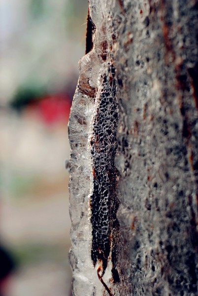 DSC_6155_副本.jpg