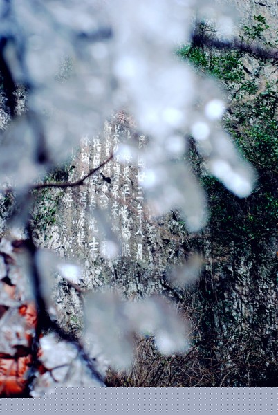 DSC_6360_副本.jpg