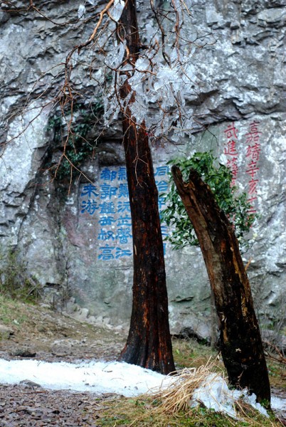 DSC_6365_副本.jpg