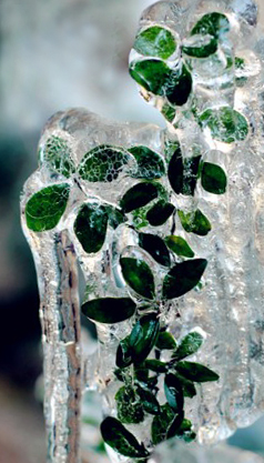 DSC_6141_副本[1].jpg