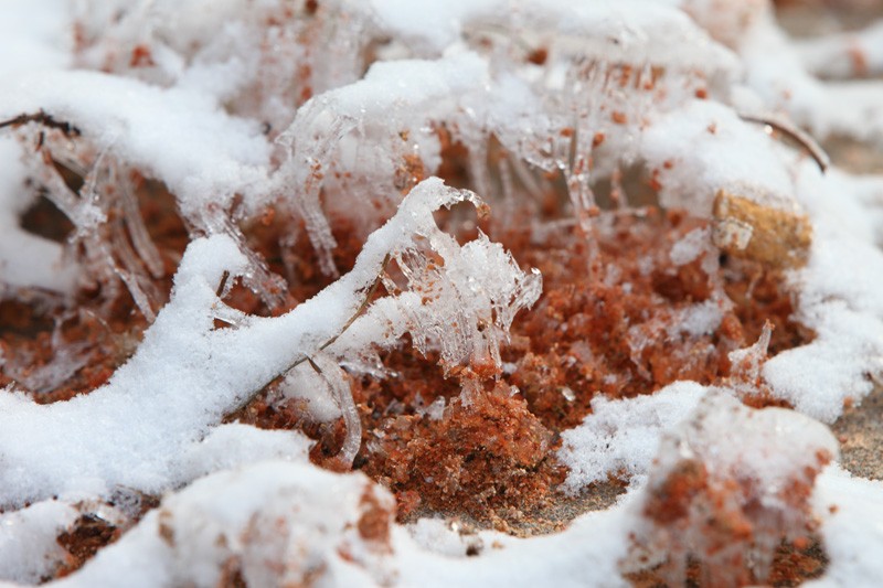 雪的造型03
