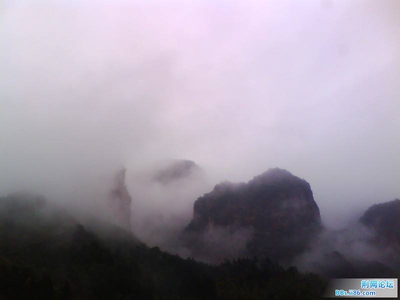 IMG1011A.jpg