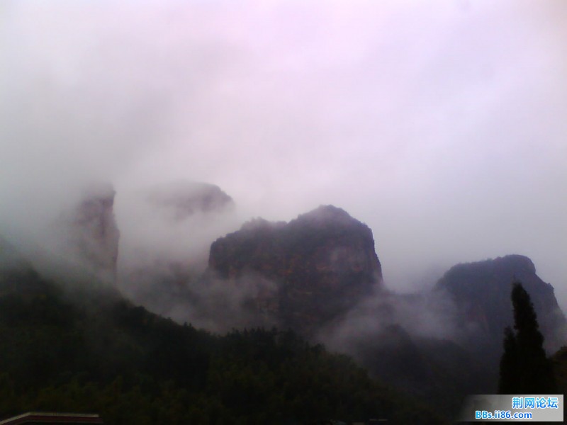 IMG1012A.jpg