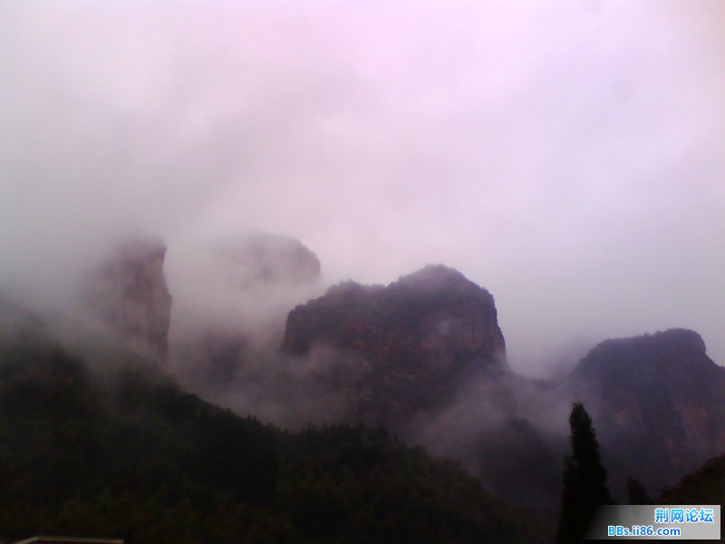 IMG1013A.jpg