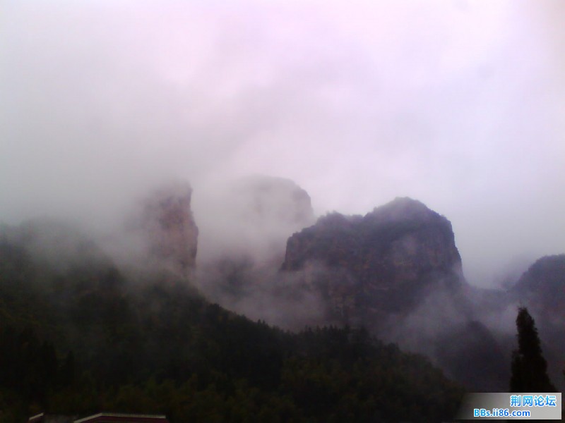 IMG1014A.jpg