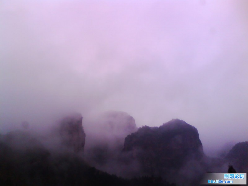 IMG1015A.jpg