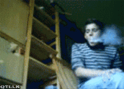 14375279.gif