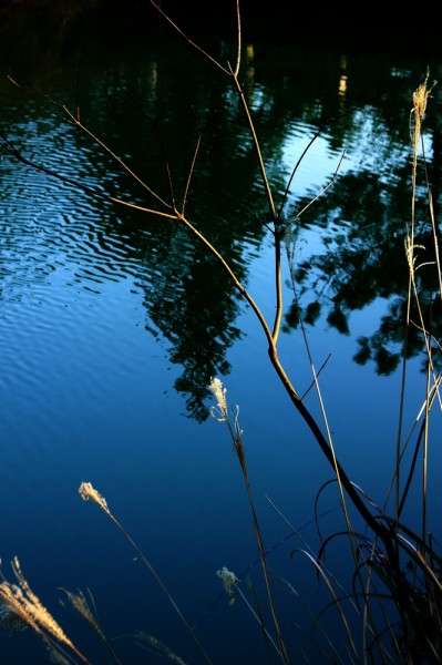 DSC09486.JPG