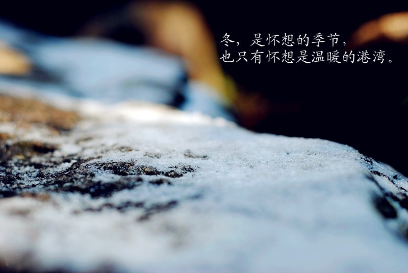 DSC_6024_副本.jpg