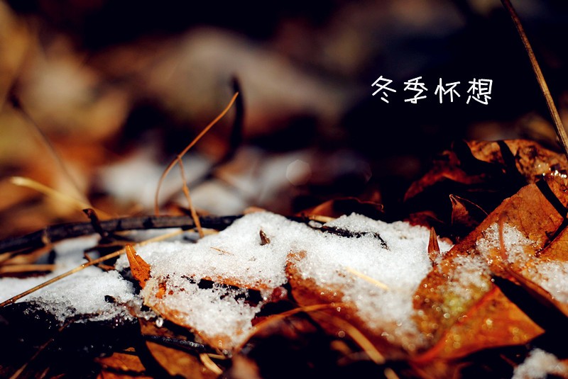 DSC_6045_副.jpg