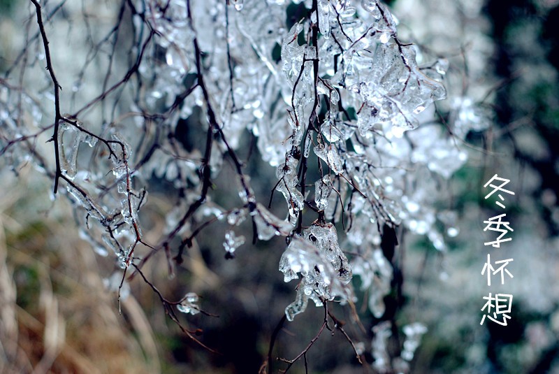 DSC_6291_副本.jpg