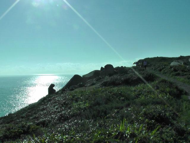 p2v_a794616303_4e4f7ce1de6fd143.jpg