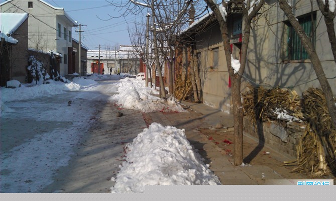 雪1.jpg