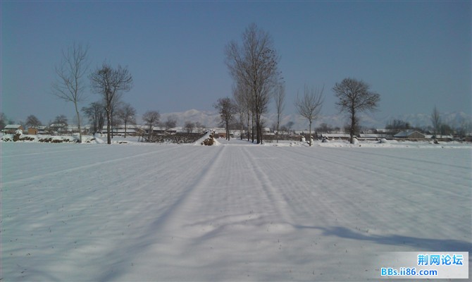 雪4.jpg