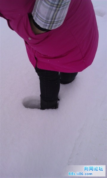 雪6.jpg