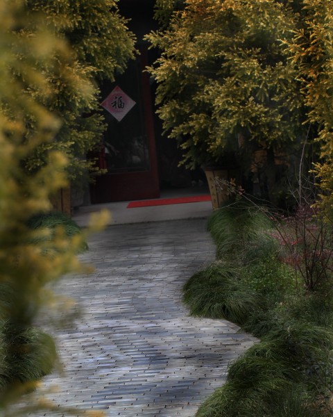 BI0E9013.jpg