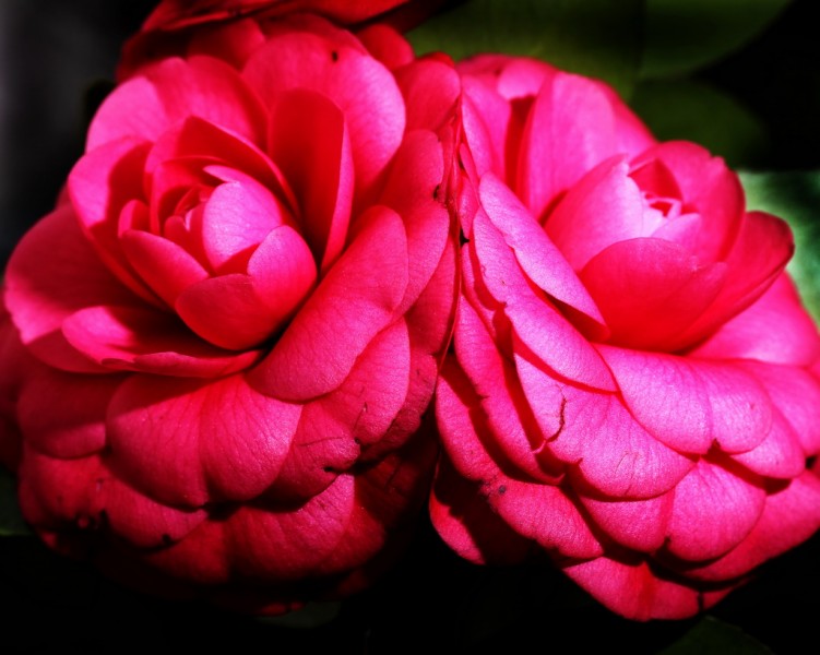 BI0E9001.jpg